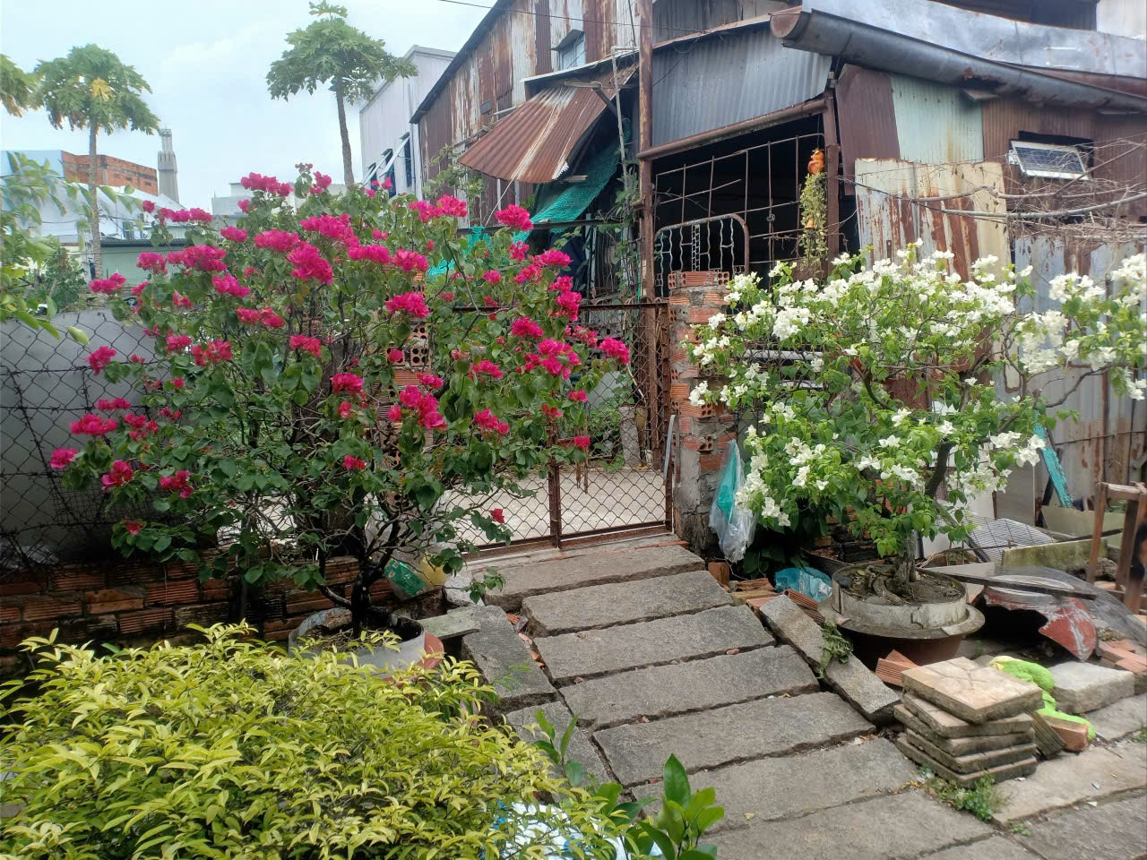 Bán 379m2 Đất Trung Tâm TP Long Xuyên - Chính Chủ
