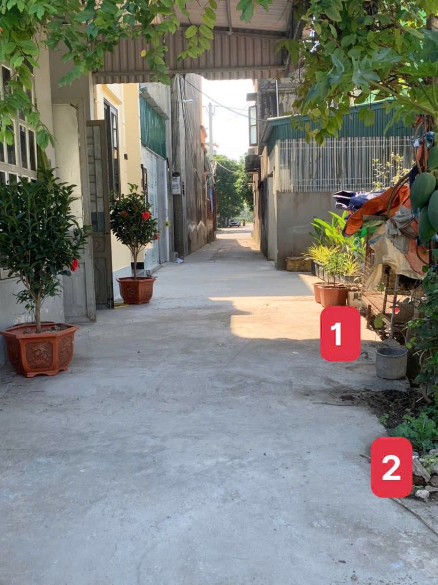 2 Lô đất liền kề ngõ 100 Mai Đô, Hải Dương 48m2/ lô giá chỉ 1 tỷ 2xx triệu/lô