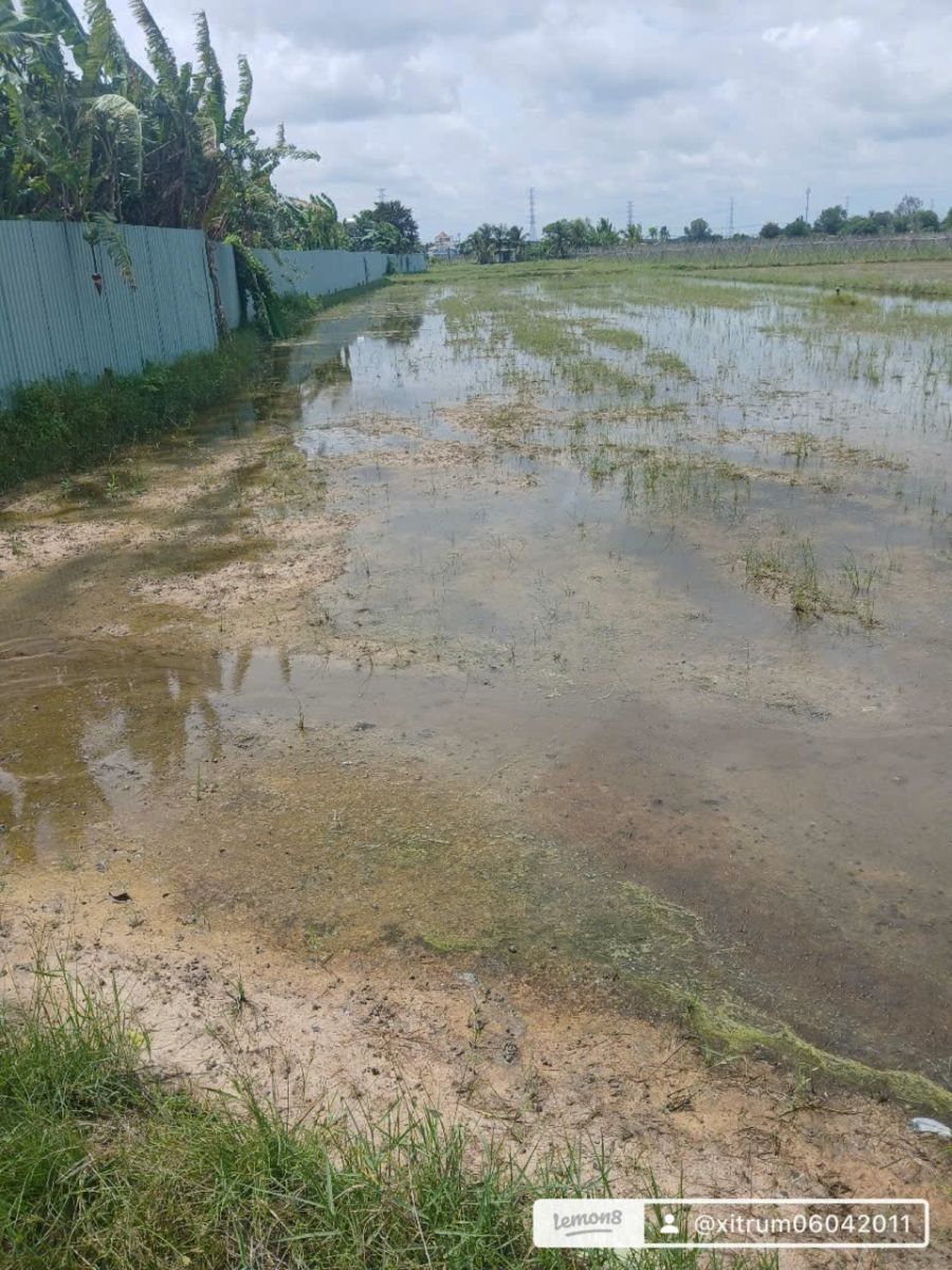 🏡 BÁN ĐẤT HUYỆN CỦ CHI – TP.HCM