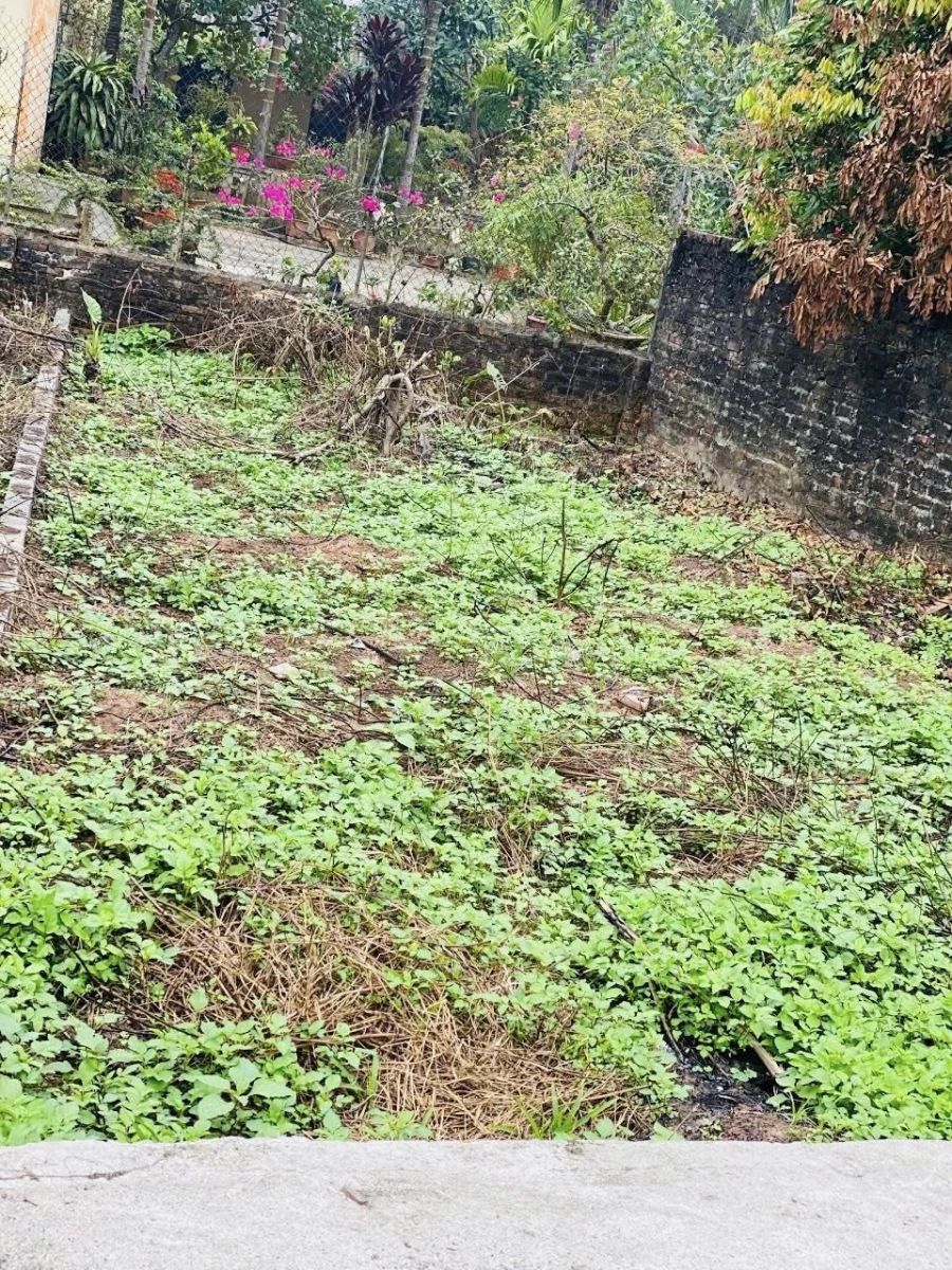 🌸 MỞ HÀNG XUÂN – BÁN ĐẤT 50M² CD QUÁN TRẠCH, VĂN GIANG 🌸