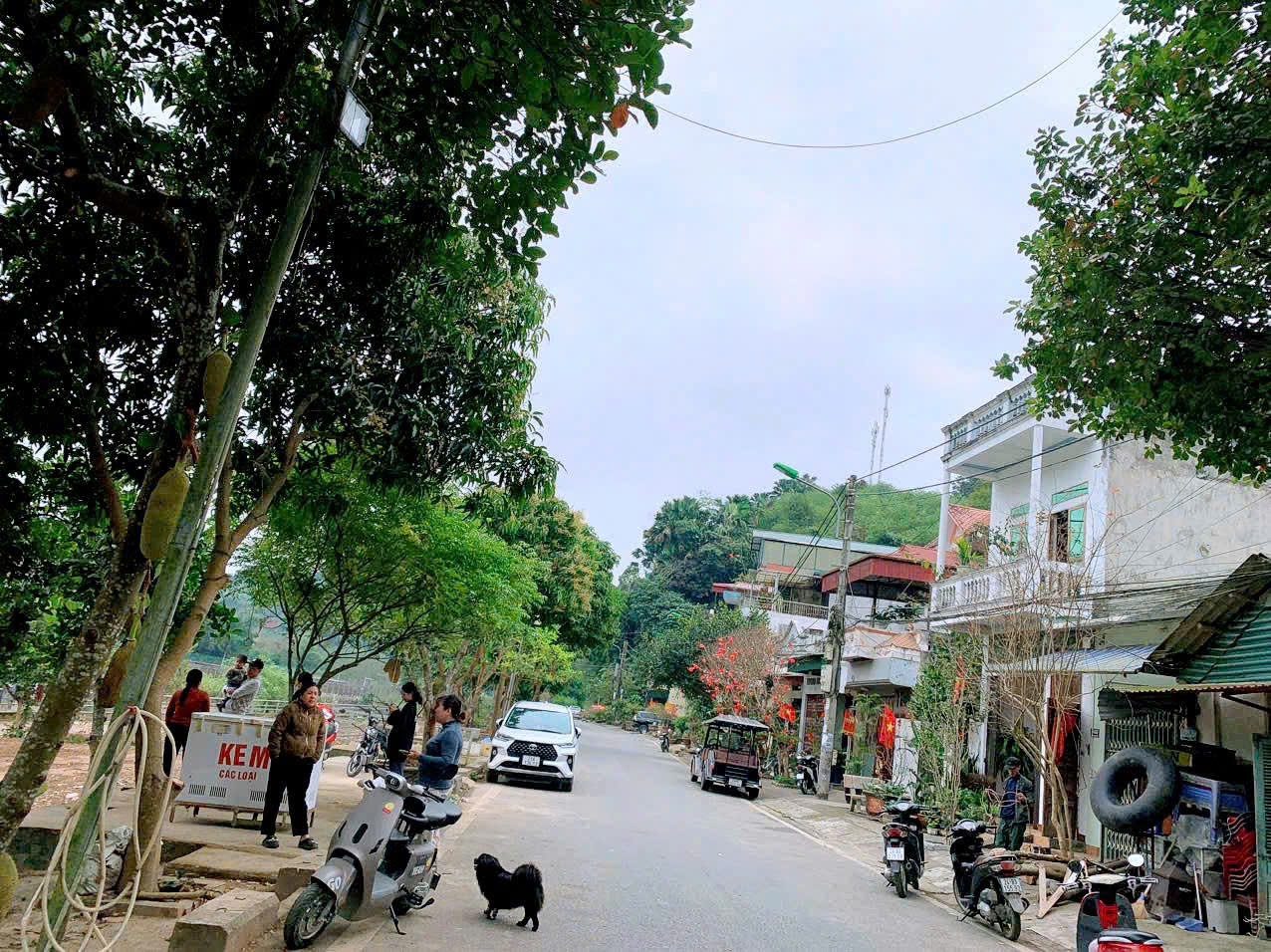 🏡 BÁN NHÀ 3 TẦNG ĐƯỜNG PHAN BỘI CHÂU – TP. LÀO CAI