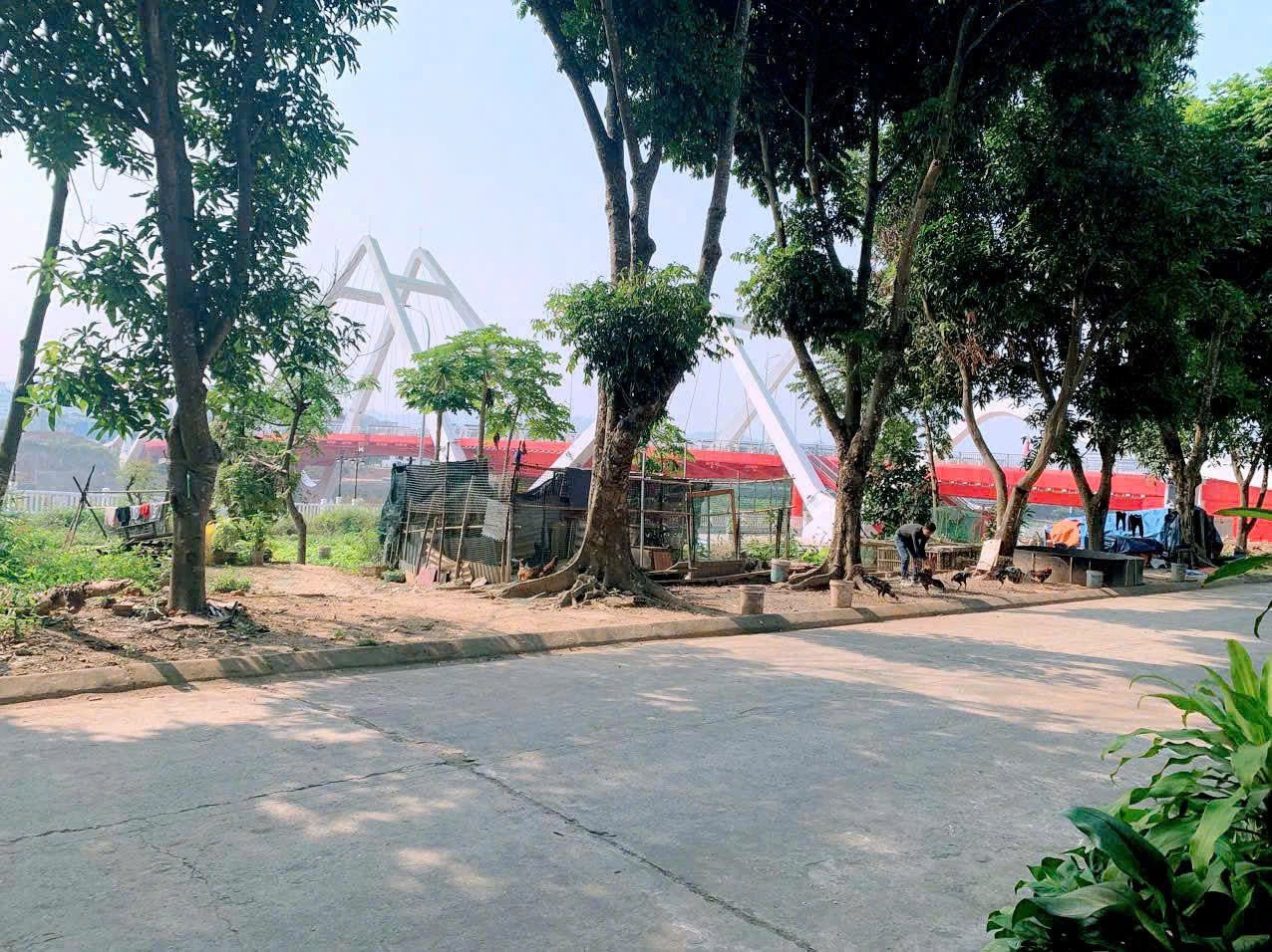 🏠 BÁN NHÀ CẤP 4 – PHỐ MỚI, LÀO CAI