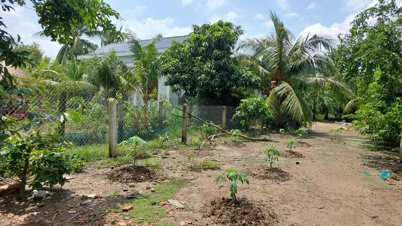 BÁN GẤP ĐẤT MẶT TIỀN ĐƯỜNG NHỰA 6M - GÒ CÔNG TÂY, TIỀN GIANG