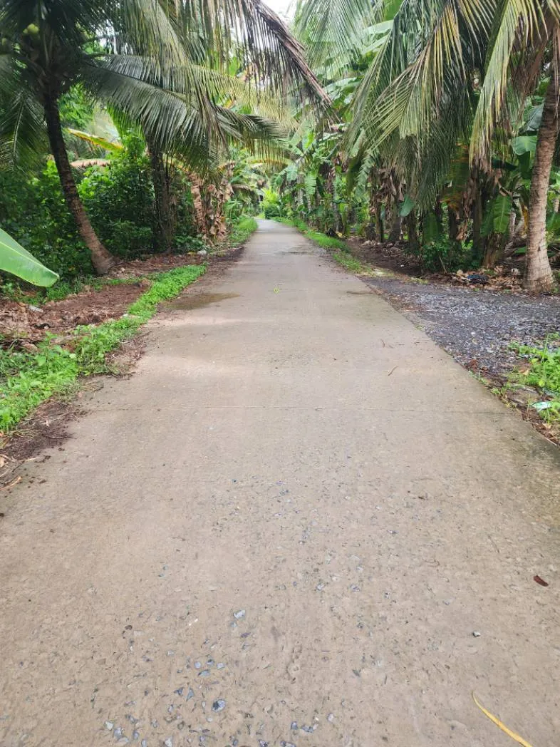 Bán tại tiền Giang
